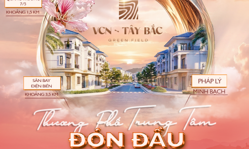 Thuong Pho Trung Tam